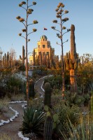 tovrea castle, phoenix, az, cactus garden, sunrise, city, volunteers