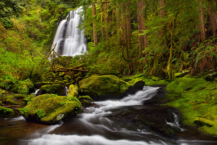 Oregon, Coast, Range, waterfall, falls, kentucky, North Fork Smith River