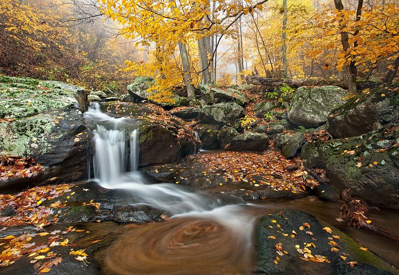 Shenandoah National Park, Virginia, VA, wilderness, rain, fog, waterfalls, foliage, water, fall, colors, rocks, image, r