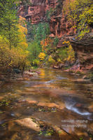 Call of the Canyon