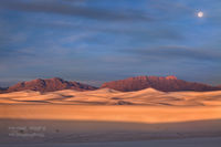 Desert Solitaire