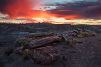Primordial Firewood