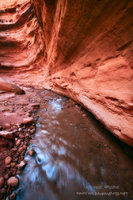 Canyon Flow