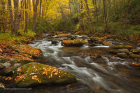 Graceful Waters