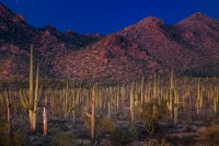 Sonoran Desert