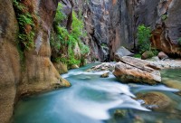 Glow and Flow: The Zion Narrows 