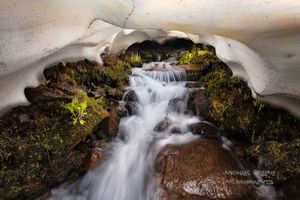 Tunnel Vision