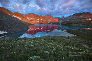 Summer's Dawn