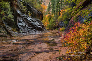 Canyon of Color