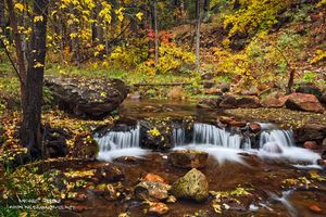 Cascades of Color