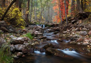 Rush of Stillness