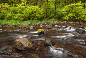 Silver Falls Seclusion
