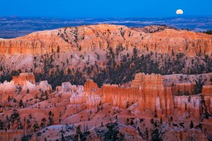 Bad Moon Rising