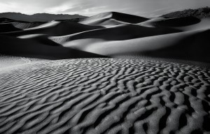 Lines of Tomorrow