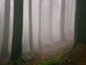 The Beckoning