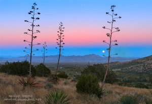 Moonrise Over Pelonchillo
