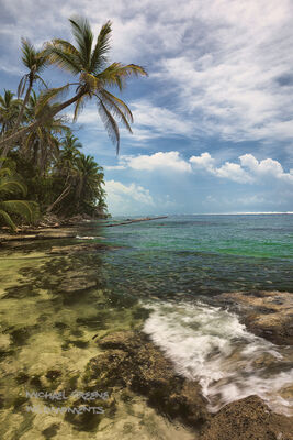 Reef Hunting