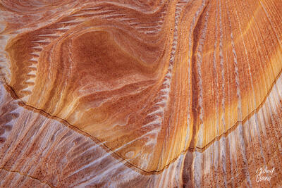 Amazing colors and sandstone patterns are found in the Paria Wilderness near UT and AZ.  