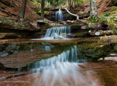 Triple View Falls