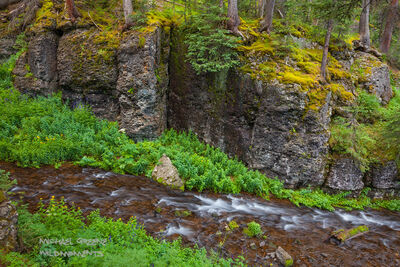 Above the Ravine