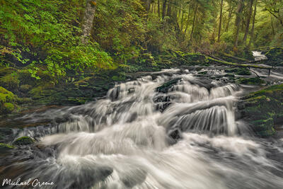 Salmon Run