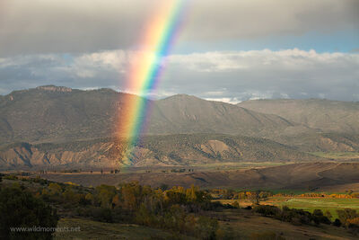 Rainbow Over Gunnison