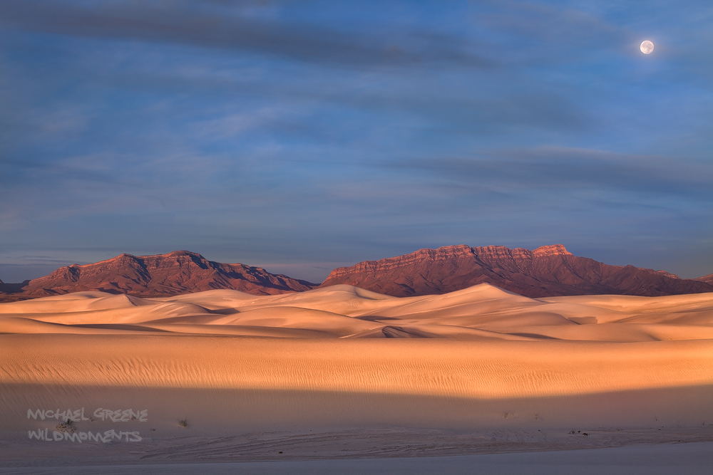 Desert Solitaire White Sands National Monument, NM Michael Greene's