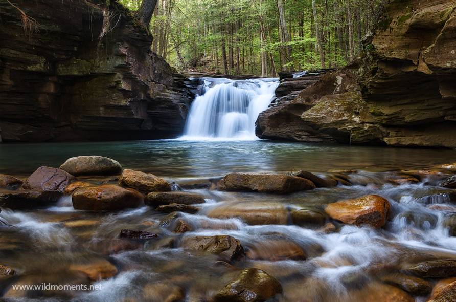 A Breath of Fresh Air Loyalsock State Forest, PA Michael Greene's