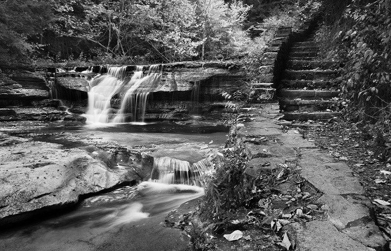 Timeless Wanderer Robert Treman State Park New York