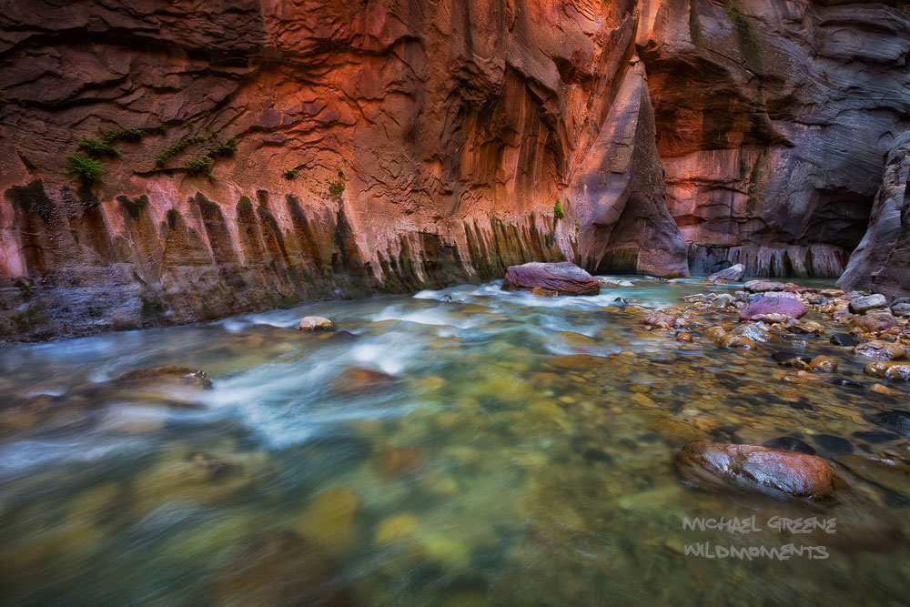 Ambient mid-day light reflects off a chasm of rock deep in the heart of Zion's Narrows known as Wall Street. I used a higher...