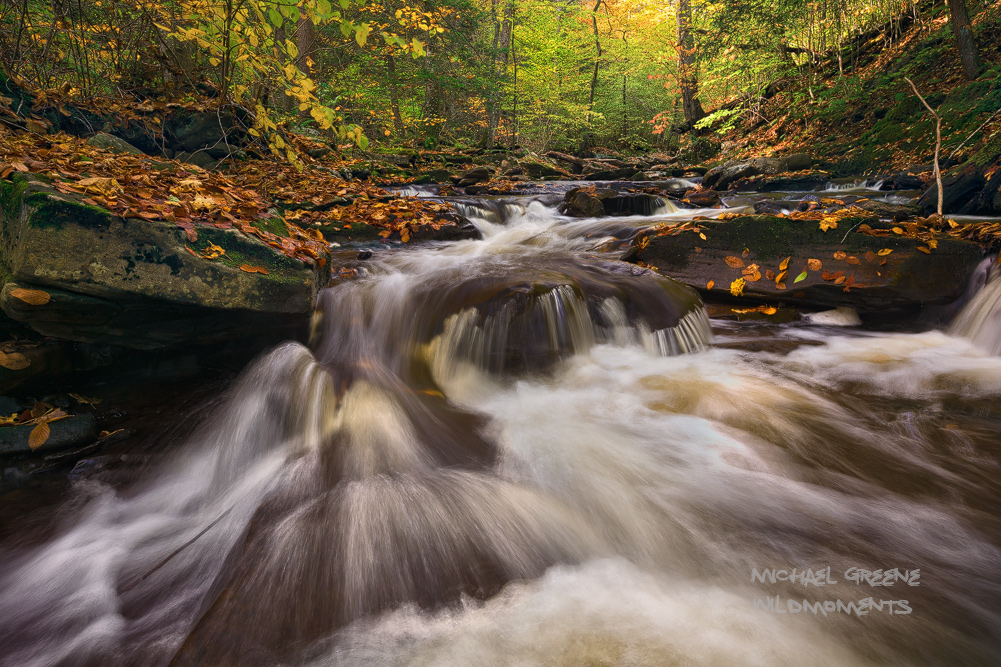 An incredible section of cascades in Glen Leigh Gorge in Ricketts Glen State Park. This well-known&nbsp;park features 23 miles...