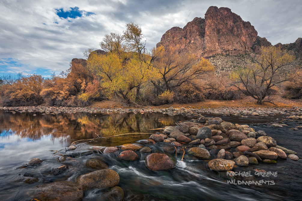 Fading autumn color along the banks of the Salt River near Mesa, Arizona. This overlook is part of the Tonto National Forest....