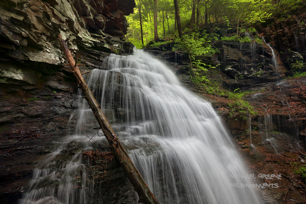 An unnamed waterfall rushes through a small gorge in PA's endless mountains.