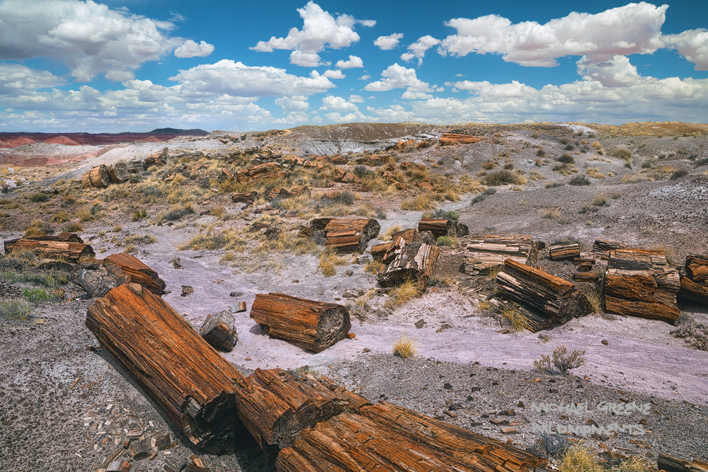 A plethora of petrified wood amid billowing vistas of the painted desert near Holbrook, Arizona.