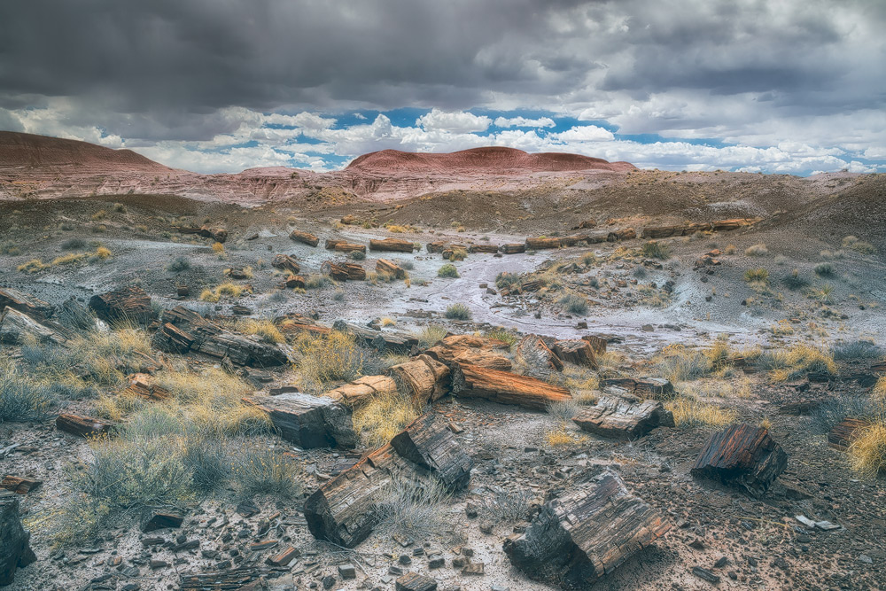 Storm clouds beckon over the black forest in the painted desert area of the Petrified Forest National Park. The park is near...