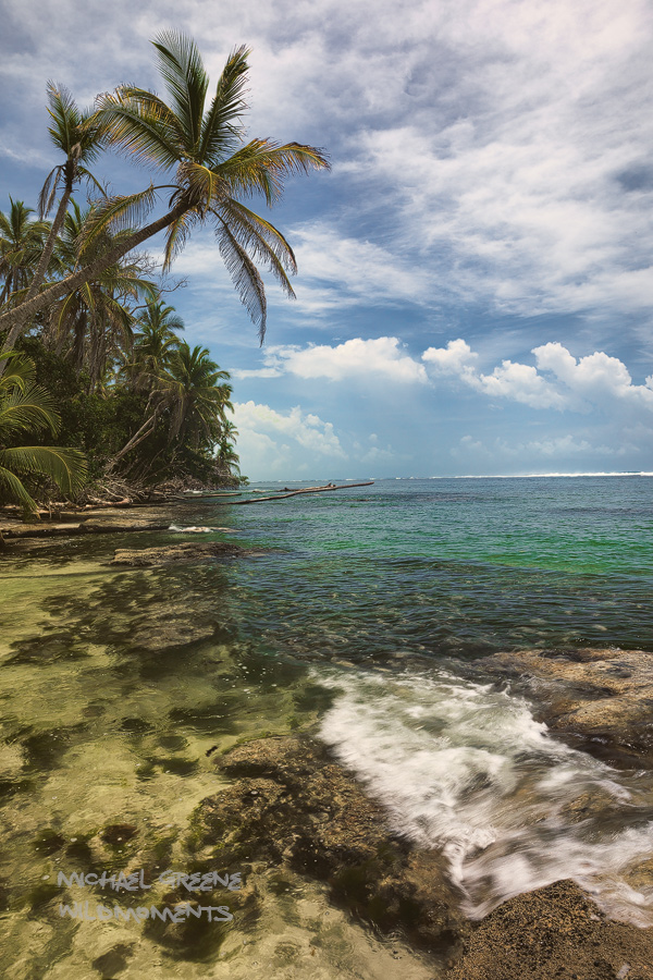 Exploring the coastal coral reefs at Cahuita NP is an exciting way to spend an afternoon. Surrounded by palm trees, coconuts...