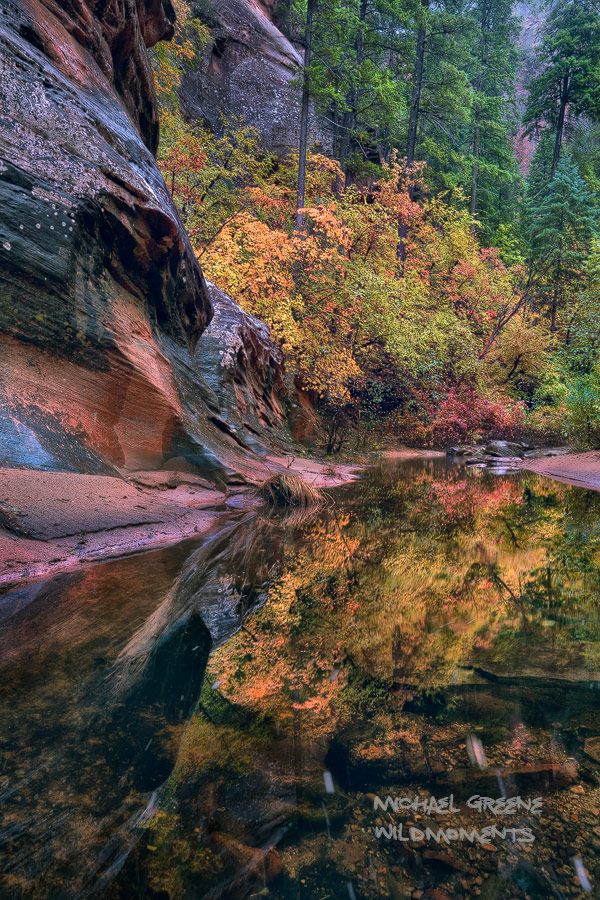 Reflections of the West Fork of Oak Creek Canyon captured during peak fall colors. The trail is located near Sedona, AZ.