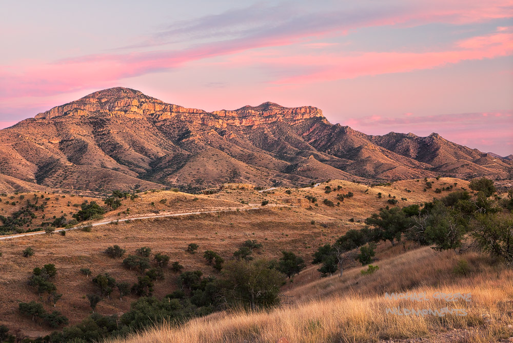 A beautiful pink desert sunset as seen from Ruby Road in the Coronado National Forest outside of Nogales, AZ.