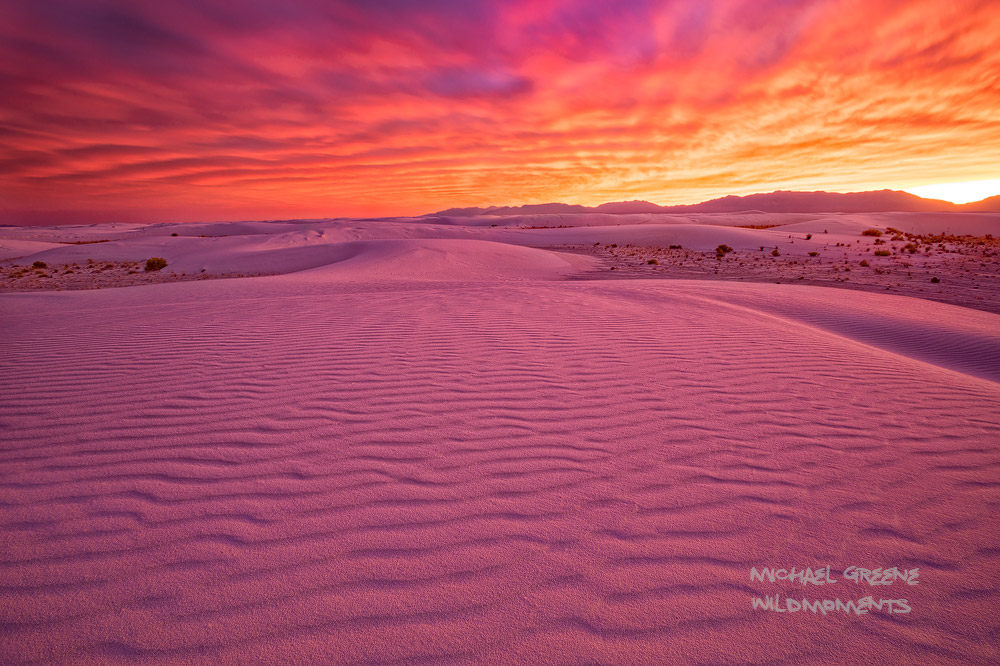 Blessed to experience an epic sunset while in the backcountry of White Sands National Park. The spectacular light radiates off...