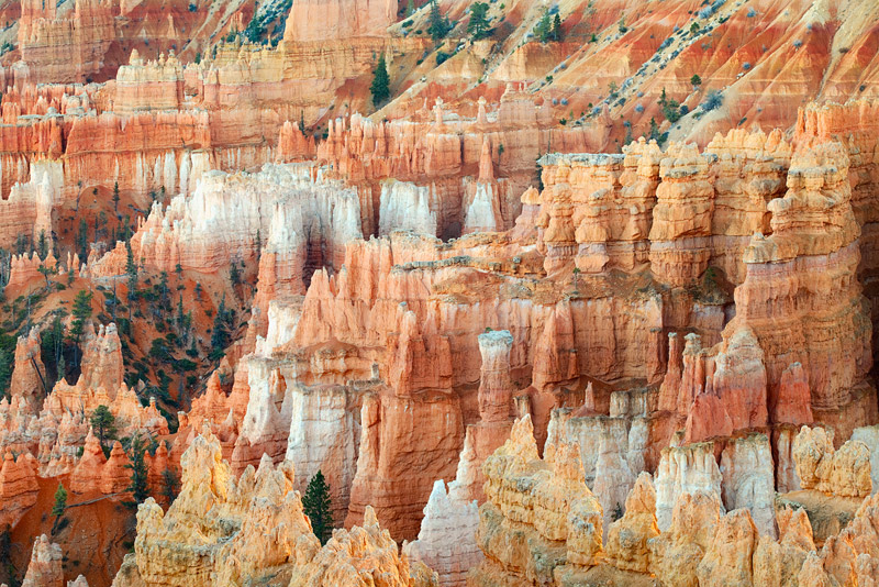 An up close and personal look at the hoodoos of &nbsp;Bryce Canyon's Silent City in Southern Utah.