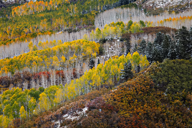 One of the more iconic view points at Owl Creek Pass shows off an incredibly diverse range of fall color as both trees and ground...