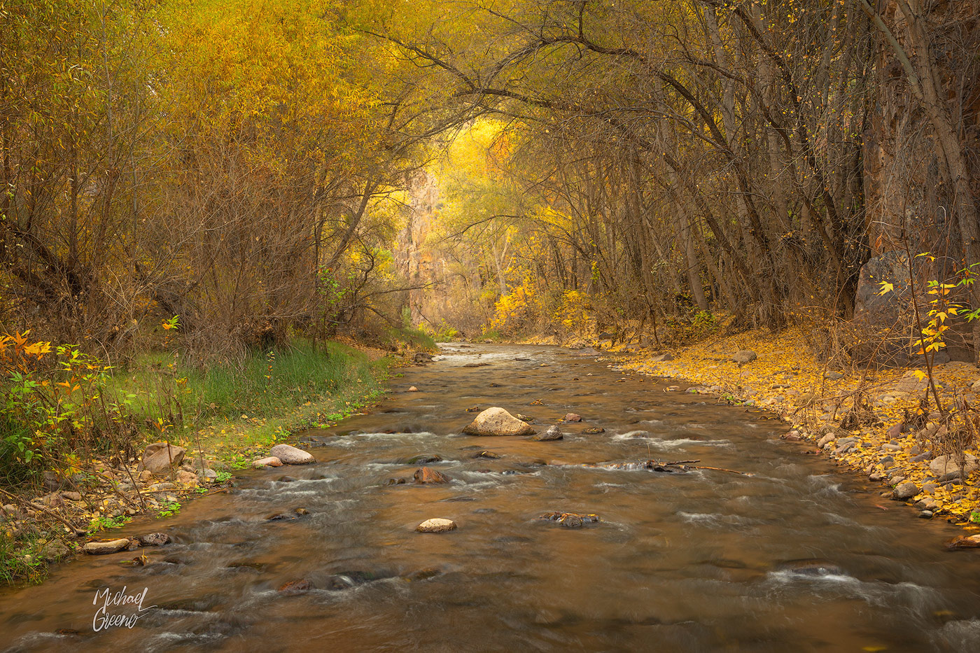 A beautiful creek cascades through an intimate canyon of stunning fall foliage in Central Arizona.