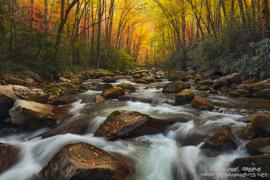 A delightful autumn scene of colorful foliage, massive boulders and raging rapids near the TN-NC border in Great Smoky Mountains...