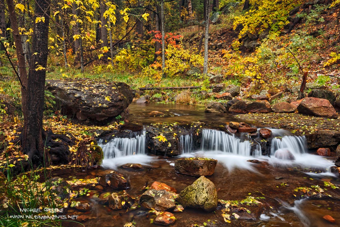 A smorgasbord of color during a blustery autumn day at Horton Creek outside of the Central Arizona mountain town of Payson on...