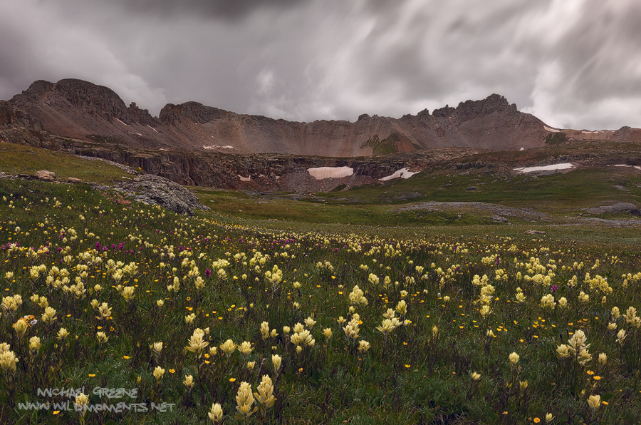 High altitude weather threatens the indian paintbrush below Bullion King Lake, which is part of the Porphyry Basin in SE Colorado...
