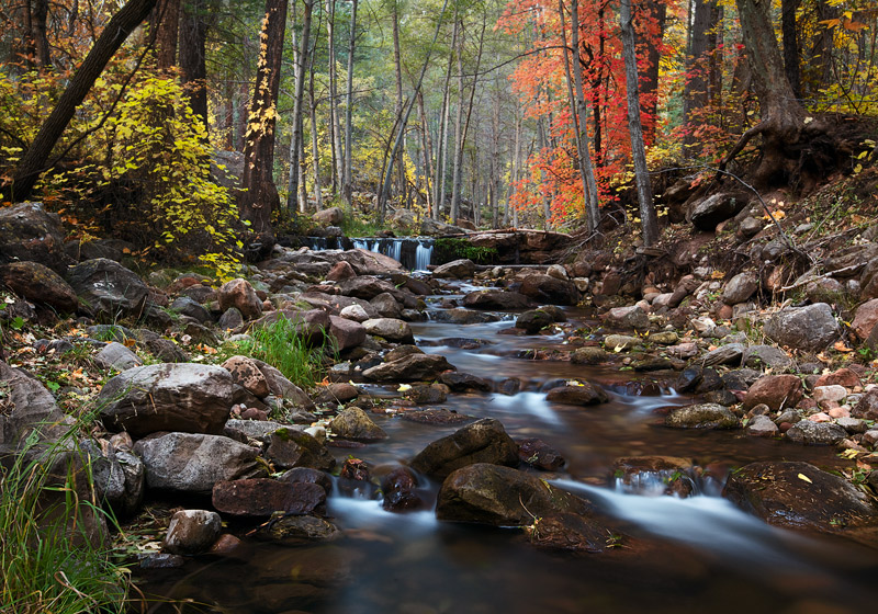 Nightfall comes quickly in November during a time of peak foliage at Horton Creek.