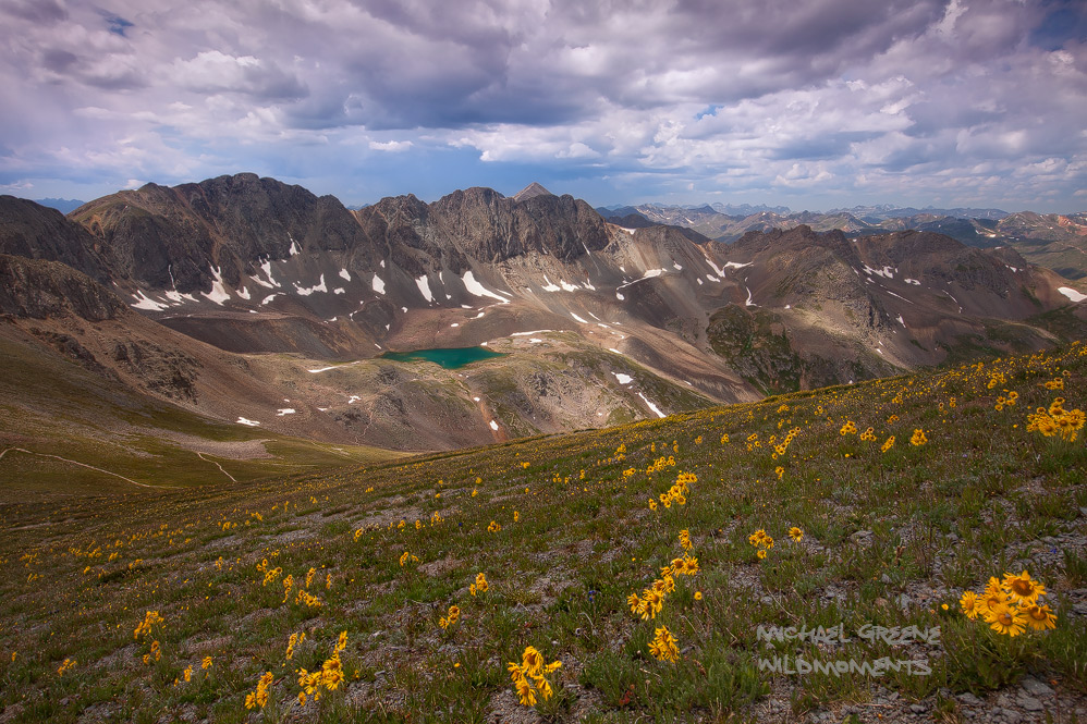 Old-man-of-the-mountain commonly referred to as an alpine sunflower grace the higher reaches of American Basin en route to 14...