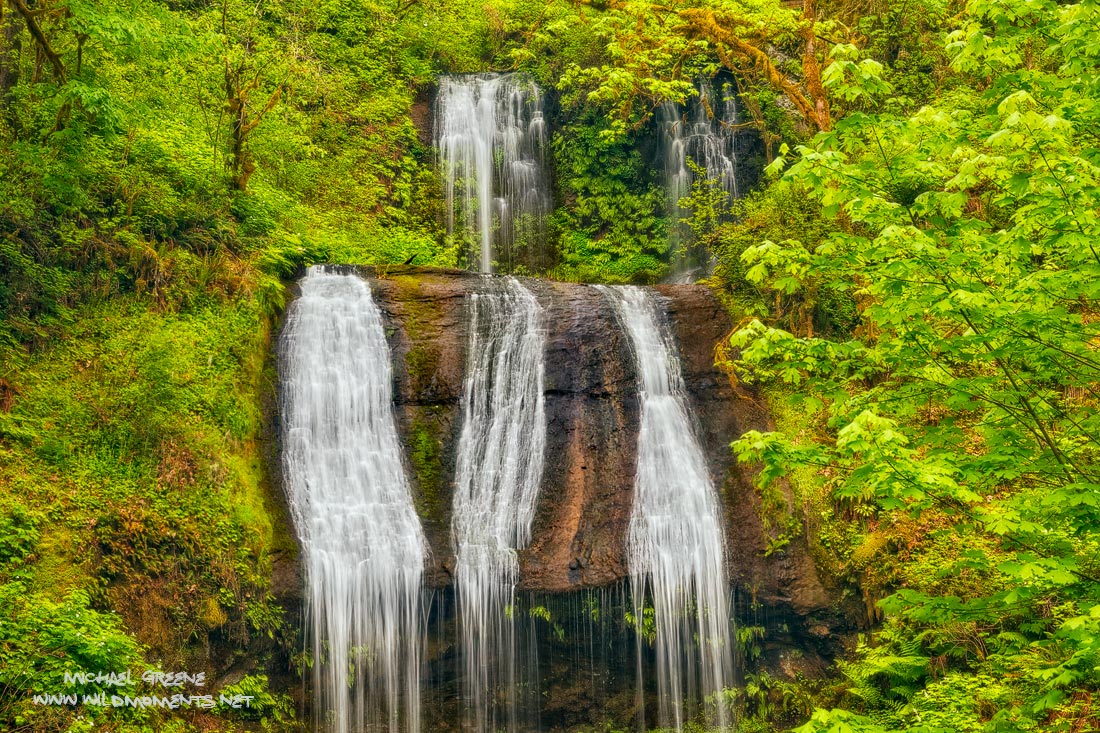 You are looking a beautiful Terrace Falls in McDowell Creek County Park. This waterfall can be found in an isolated part of western...