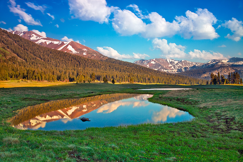 Early summer is a special time of year in the high country&nbsp;at Yosemite National Park, CA.&nbsp;A captivating, magical&nbsp...