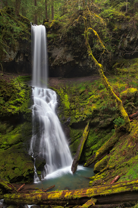 Captured in a down pour of rain and at the peak of Spring, Trestle Falls is a tucked away gem of deep within the mountains of...